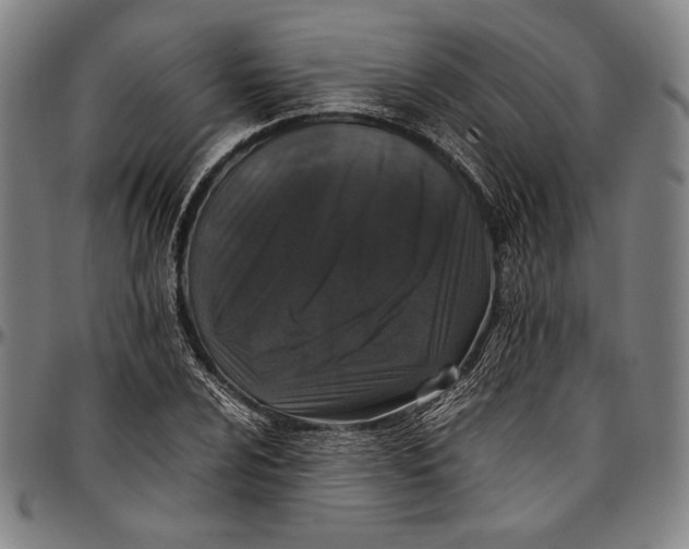 X0000097001024200802291142