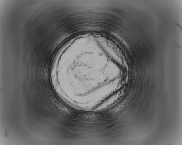 X0000097001025200802291142