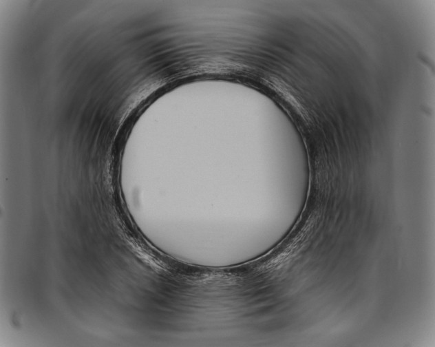 X0000097001026200802291142