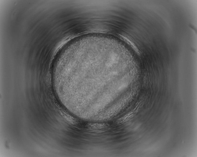 X0000097001027200802291142