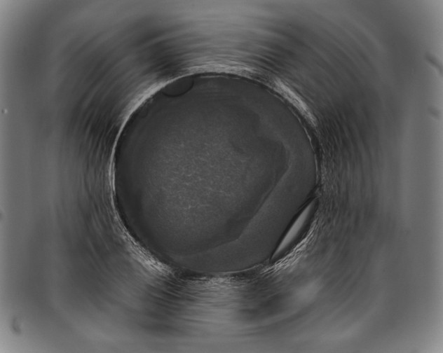 X0000097001028200802291142