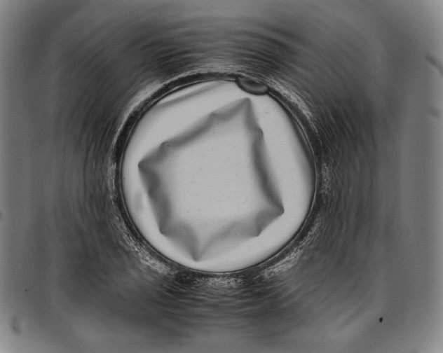 X0000097001029200802291142