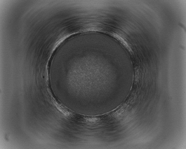 X0000097001031200802291142