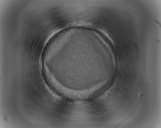 X0000097001032200802291142