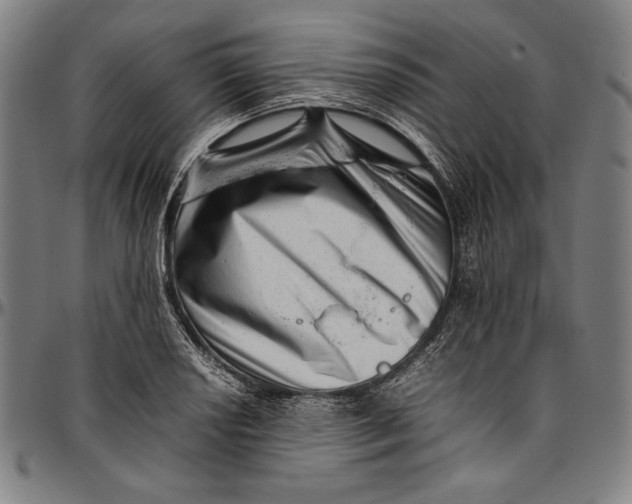 X0000097001034200802291142