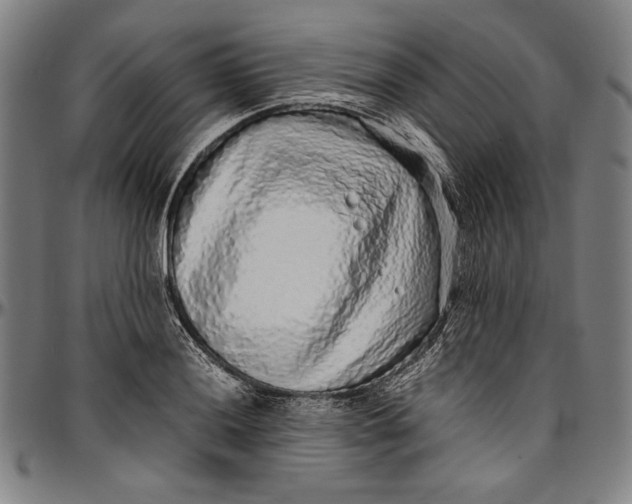 X0000097001036200802291142