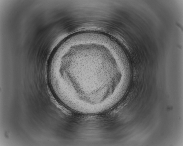 X0000097001038200802291142