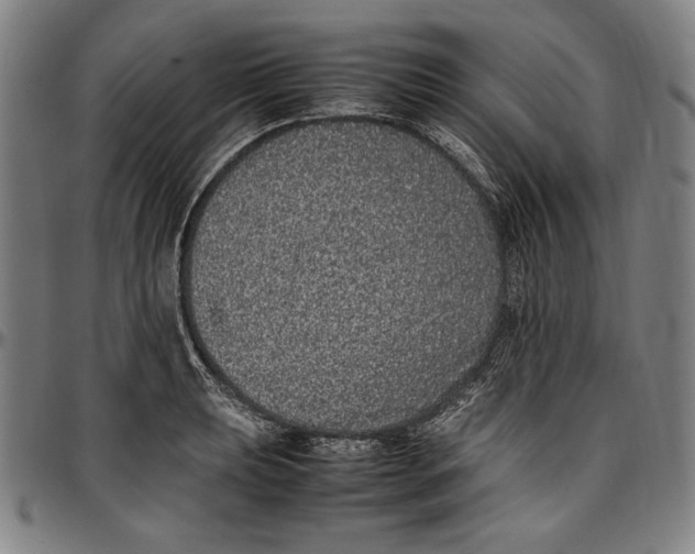 X0000097001039200802291142