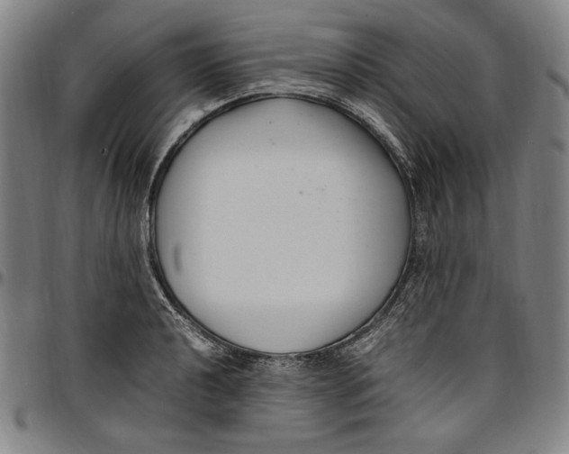 X0000097001040200802291142