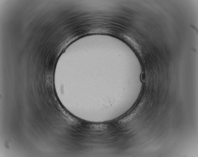 X0000097001041200802291142