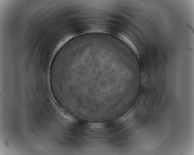 X0000097001043200802291142