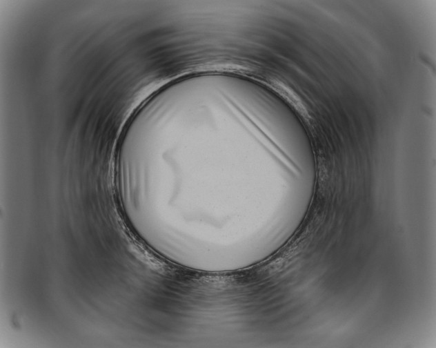 X0000097001044200802291142