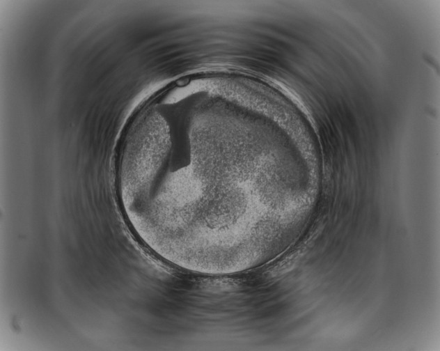 X0000097001045200802291142