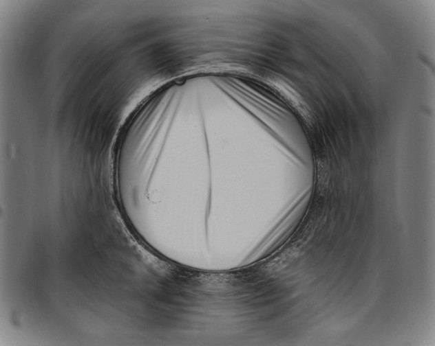 X0000097001046200802291142