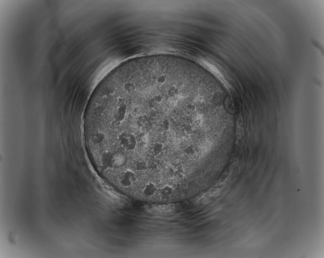 X0000097001047200802291142