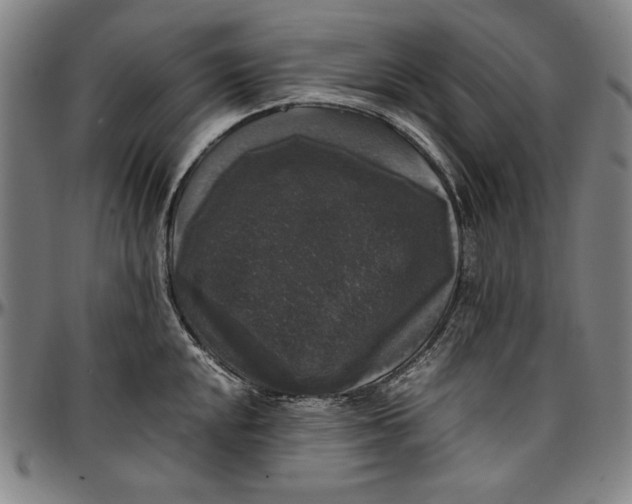 X0000097001048200802291142