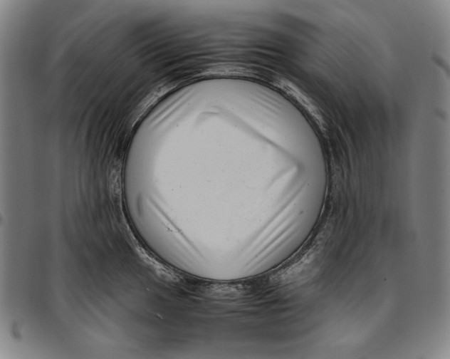 X0000097001049200802291142