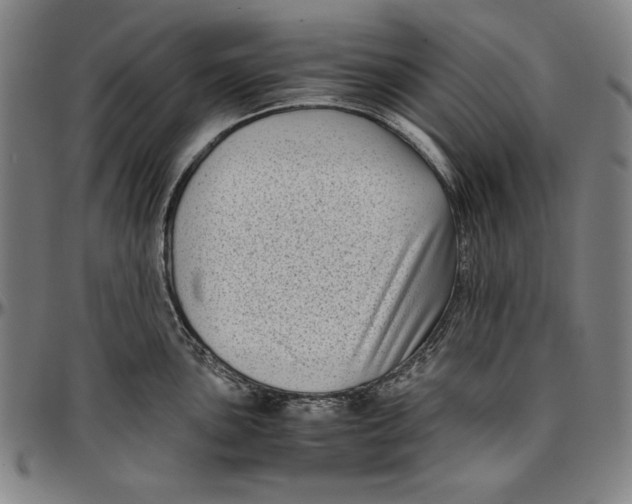 X0000097001051200802291143