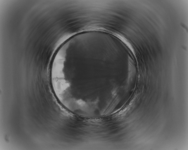 X0000097001053200802291143