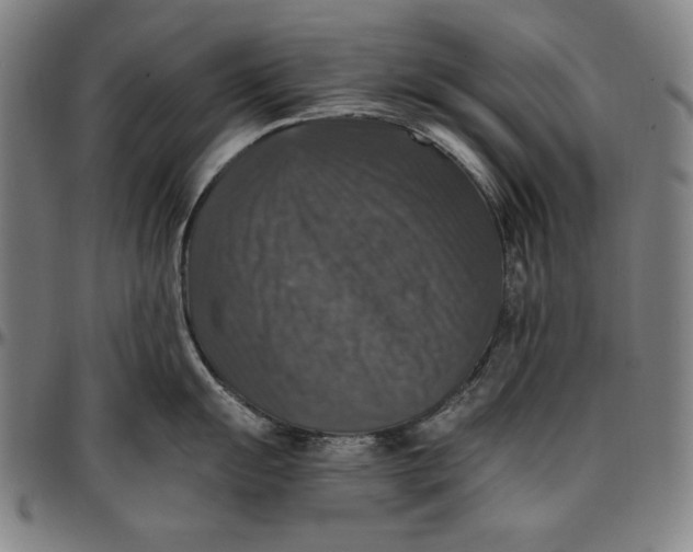 X0000097001055200802291143