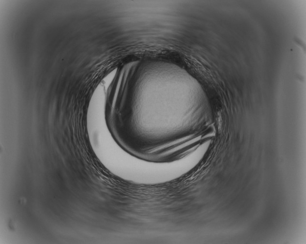 X0000097001059200802291142