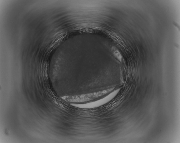 X0000097001060200802291142