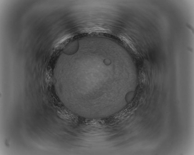 X0000097001063200802291141