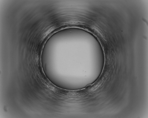 X0000097001065200802291141