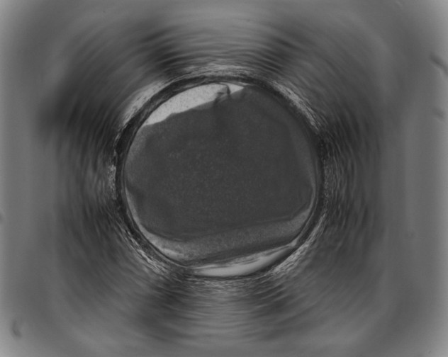 X0000097001066200802291141