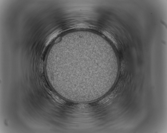 X0000097001067200802291141