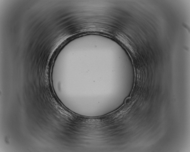 X0000097001068200802291141