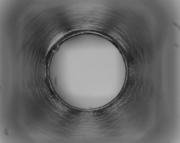 X0000097001069200802291141