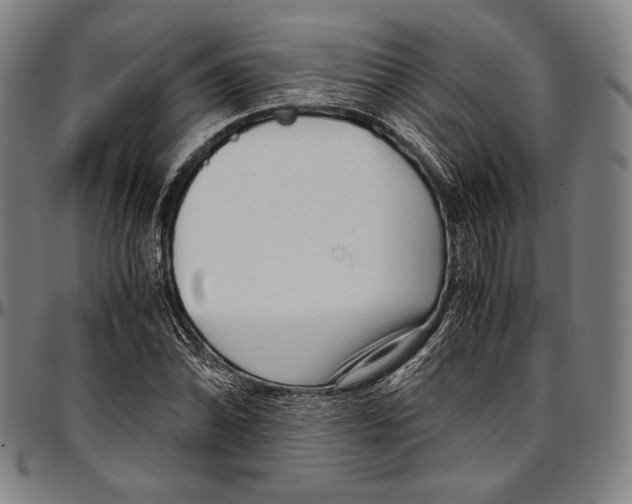 X0000097001070200802291141