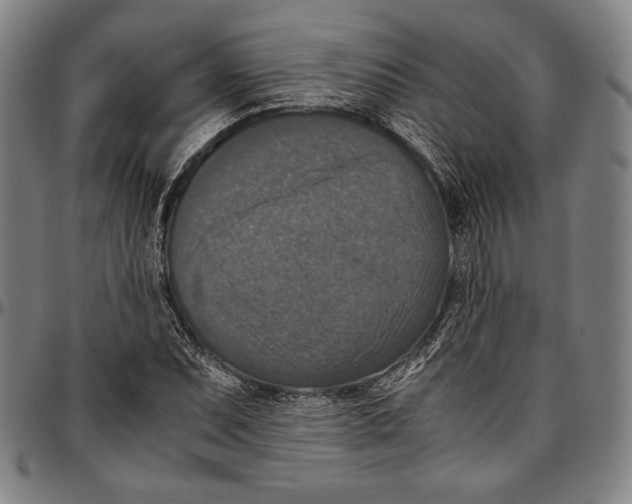 X0000097001071200802291141