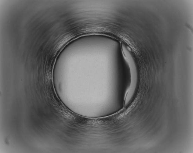 X0000097001073200802291141