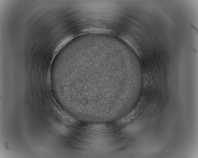 X0000097001074200802291141