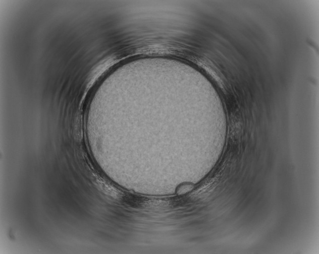 X0000097001075200802291141