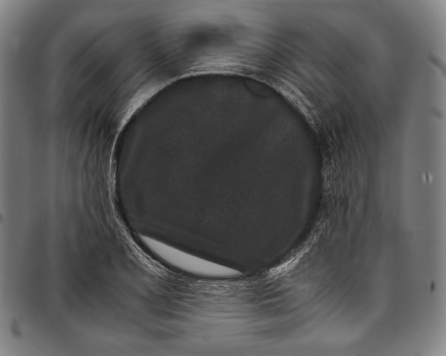 X0000097001077200802291141