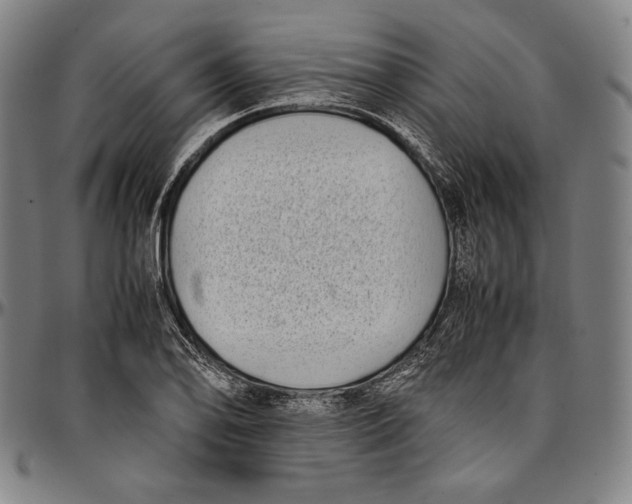 X0000097001078200802291141