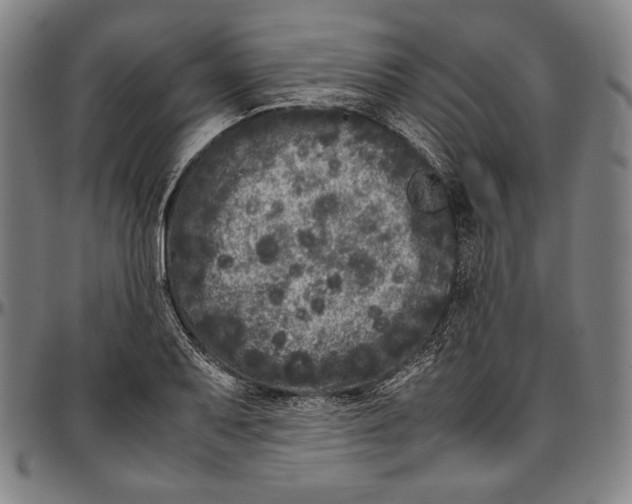 X0000097001079200802291141