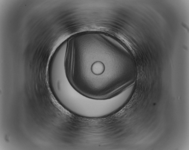 X0000097001080200802291141