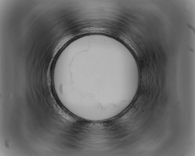 X0000097001082200802291141