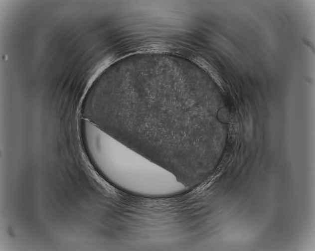 X0000097001083200802291141