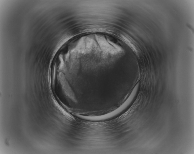 X0000097001084200802291141