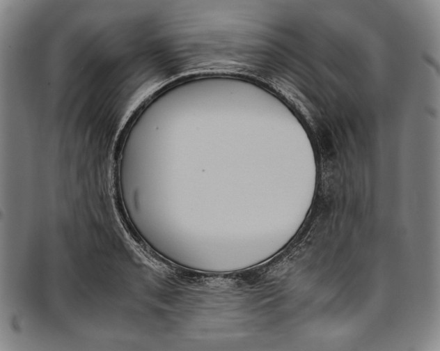 X0000097001085200802291141