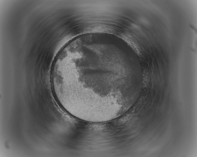 X0000097001086200802291141