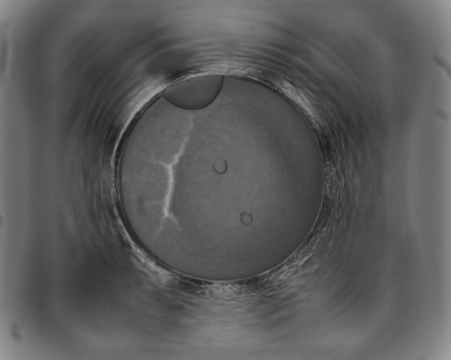 X0000097001087200802291141