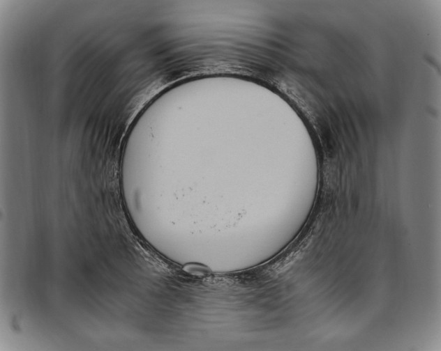 X0000097001089200802291141