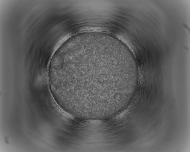 X0000097001090200802291141