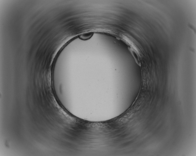 X0000097001092200802291141